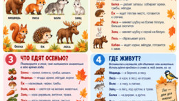 Памятка для родителей 
